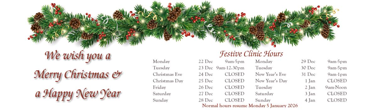 2025 Festive Clinic Hours